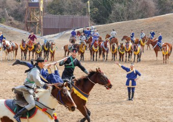 f1ea1f3a-940-Jeju-Horse-Show4